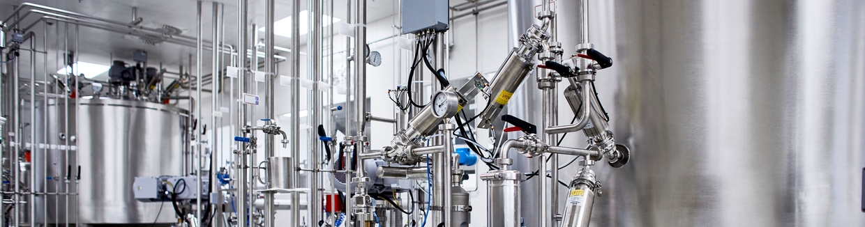 Cellevekst i en bioreaktor for å produsere dyrket kjøtt