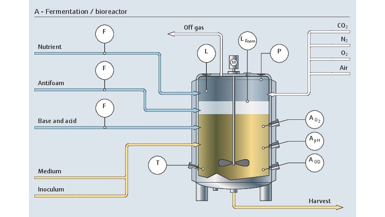 Oppstrøms gjæringsprosess i en bioreaktor med alle relevante målepunkter
