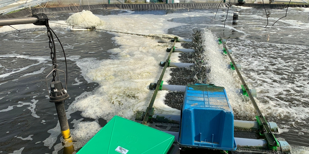 Pålitelig overvåkning av vannkvalitet for å sikre ideell produksjon ved oppdrett av reker i akvakulturer