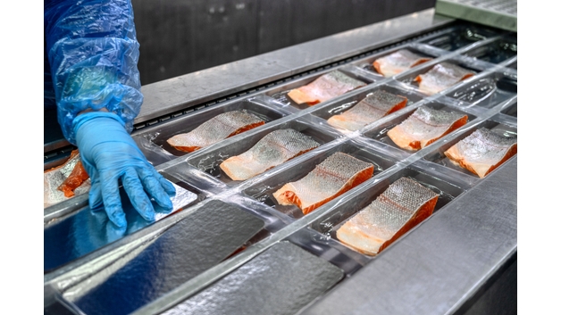 fiskeindustri