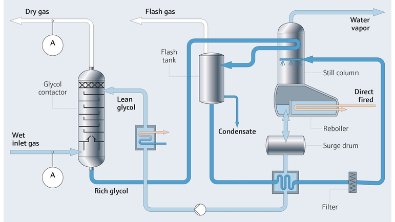 prosesskart med H2O-analysator for H2O-påvisning fra Endress+Hauser