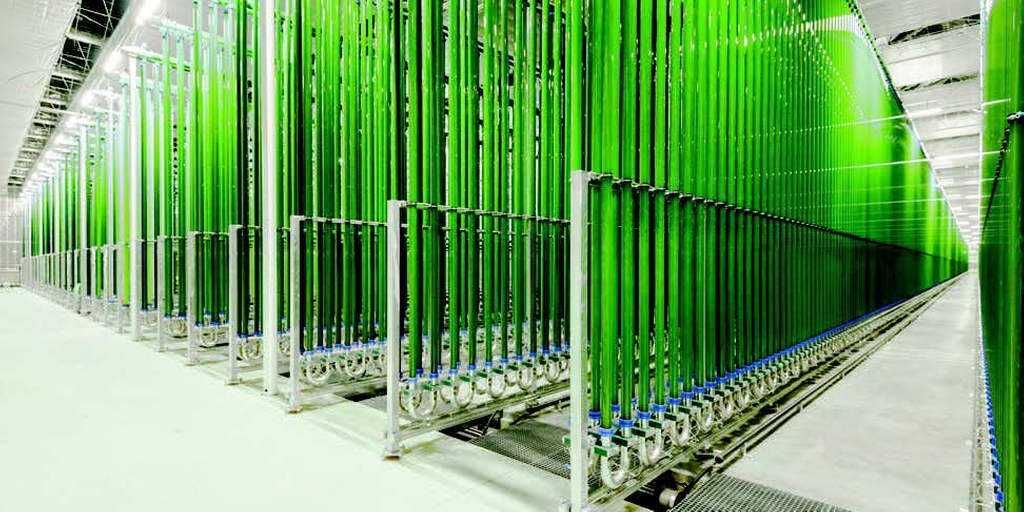 Fotobioreaktorer for å møte den økende etterspørselen etter alger