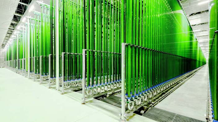 Industriell algeproduksjon i fotobioreaktorer
