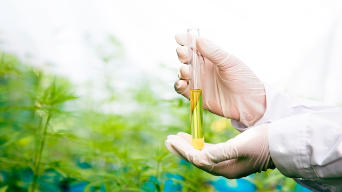 Eterisk cannabisolje i glassflaske